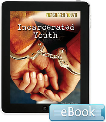 Forgotten Youth: Incarcerated Youth eBook