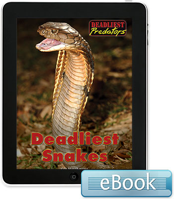 Deadliest Predators: Deadliest Snakes eBook