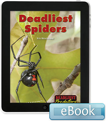 Deadliest Predators: Deadliest Spiders eBook