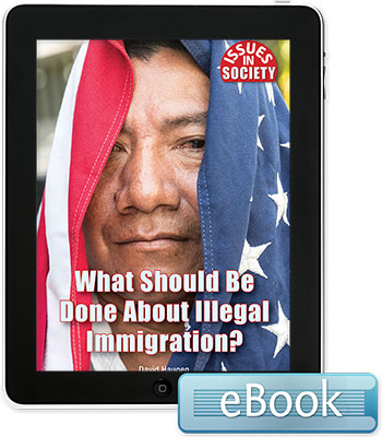Issues in Society: What Should Be Done About Illegal Immigration? Ebook