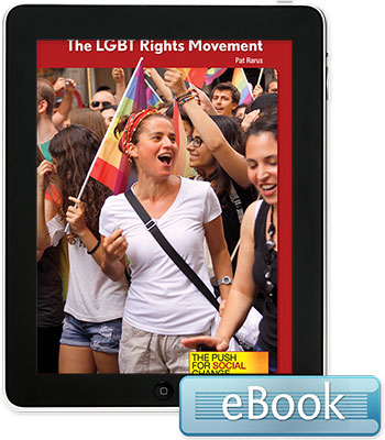 The LGBT Rights Movement - eBook